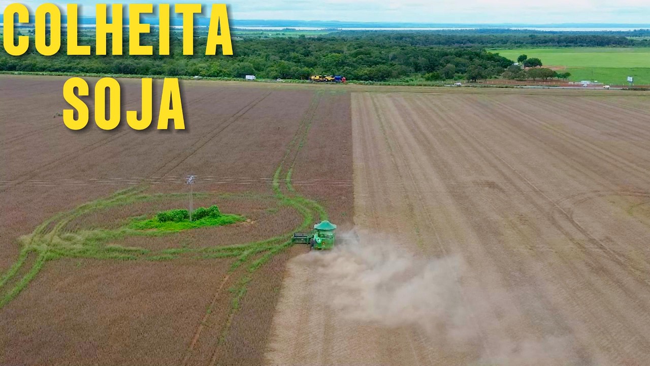 COLHEITA DA SOJA 2026 NO TOCANTINS.