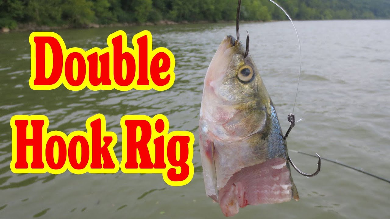 How to tie a double hook rig - Using a Double hook rig to catch Big Catfish