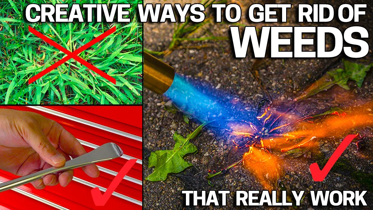 Dig or Burn Weeds - Tips to make it EASY