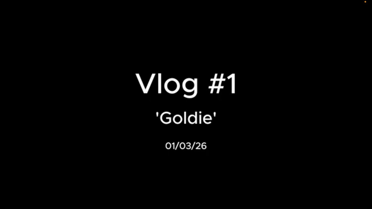 Vlog #1 - Goldie