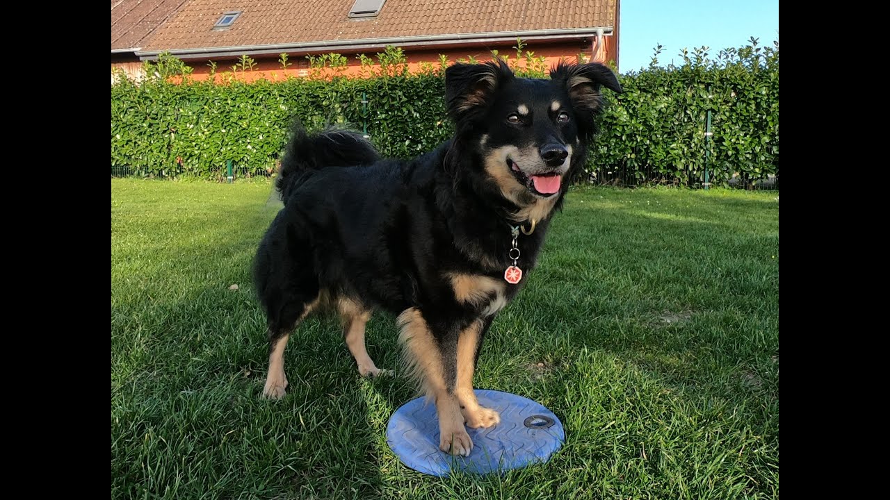 Distanzarbeit mit dem Bodentarget