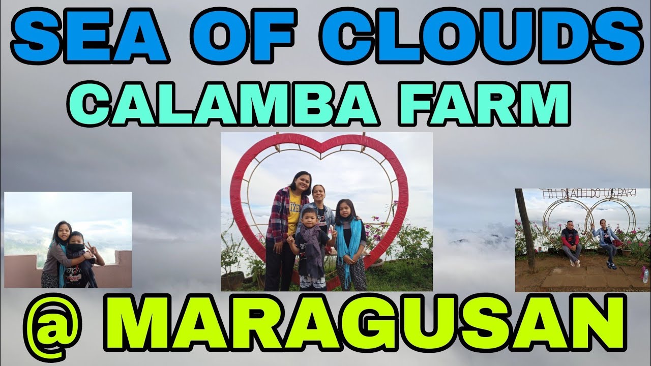Sea of Clouds calamba farm
