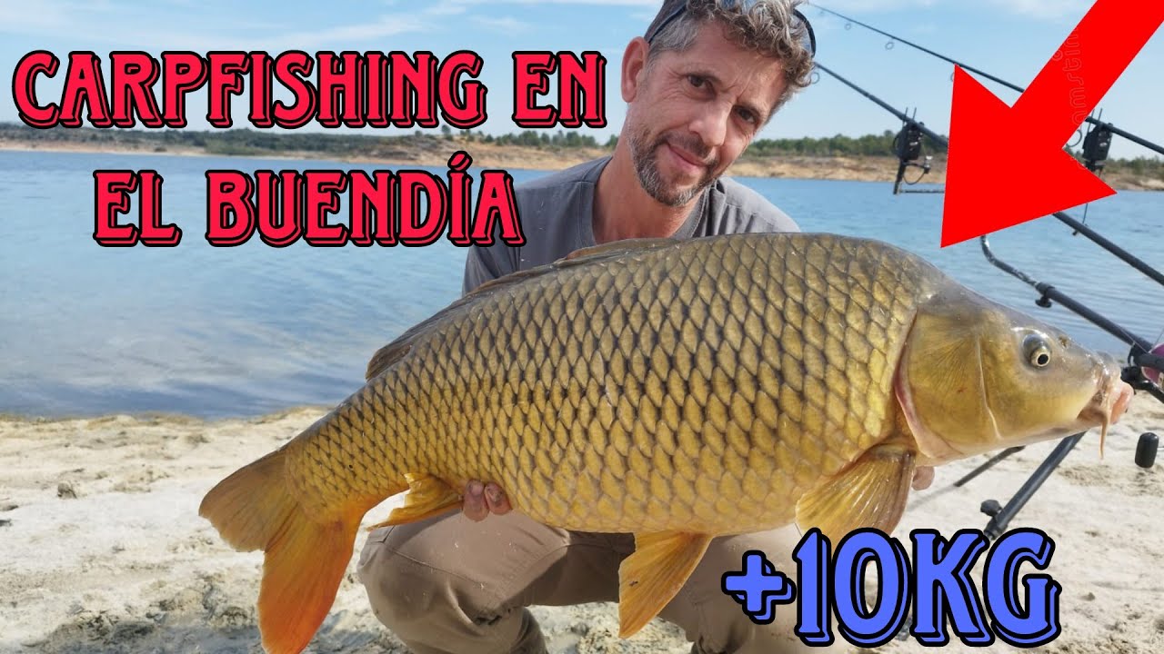 CARPFISHING en el EMBALSE de BUENDÍA 🎣