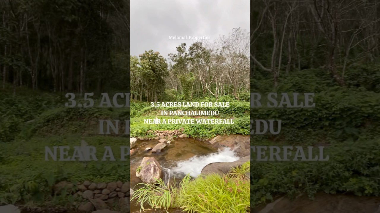 3.5 ACRES LAND FOR SALE IN PANCHALIMEDU (IDUKKI),WITH A PRIVATE WATERFALL #shorts #tourism