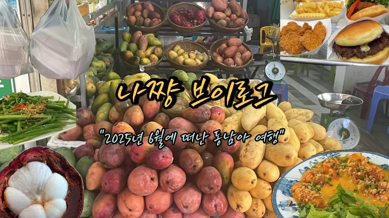 🇻🇳✈️6월 나쨩 브이로그 (1탄이자 마지막 영상..?)