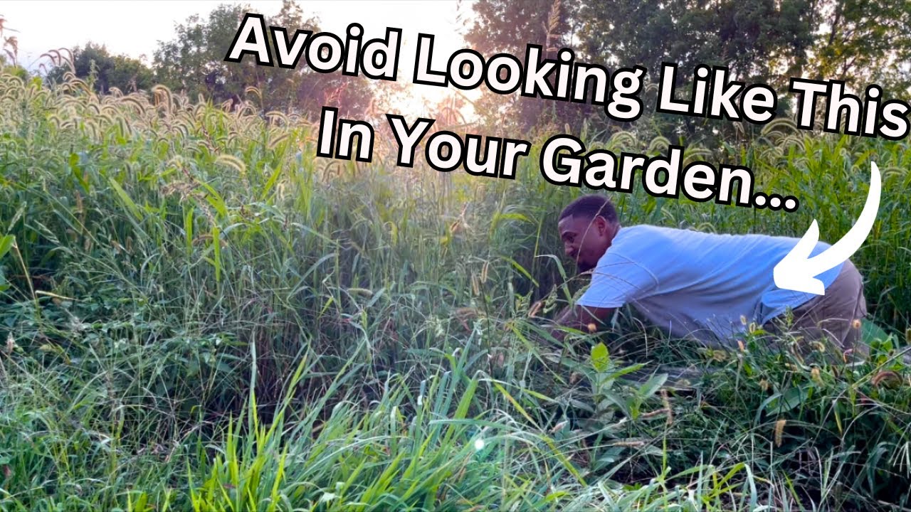 4 Gardening Mistakes I Learned the Hard Way…
