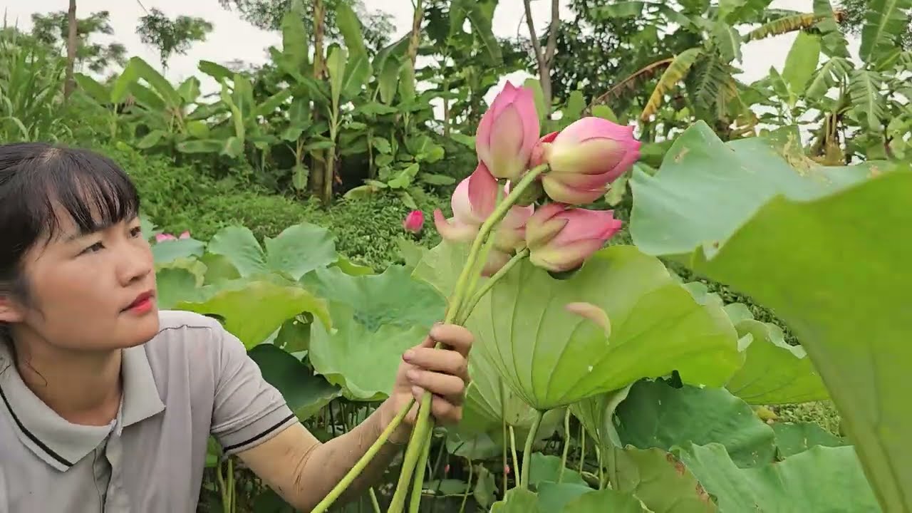Vietnam Off Grid Living : 100 Days Building Alone Off The Grid, Build farm life