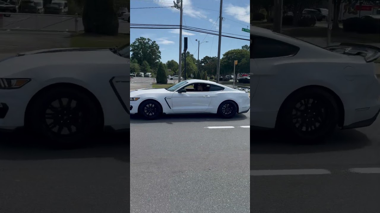 Is the GT350 the coolest Mustang?