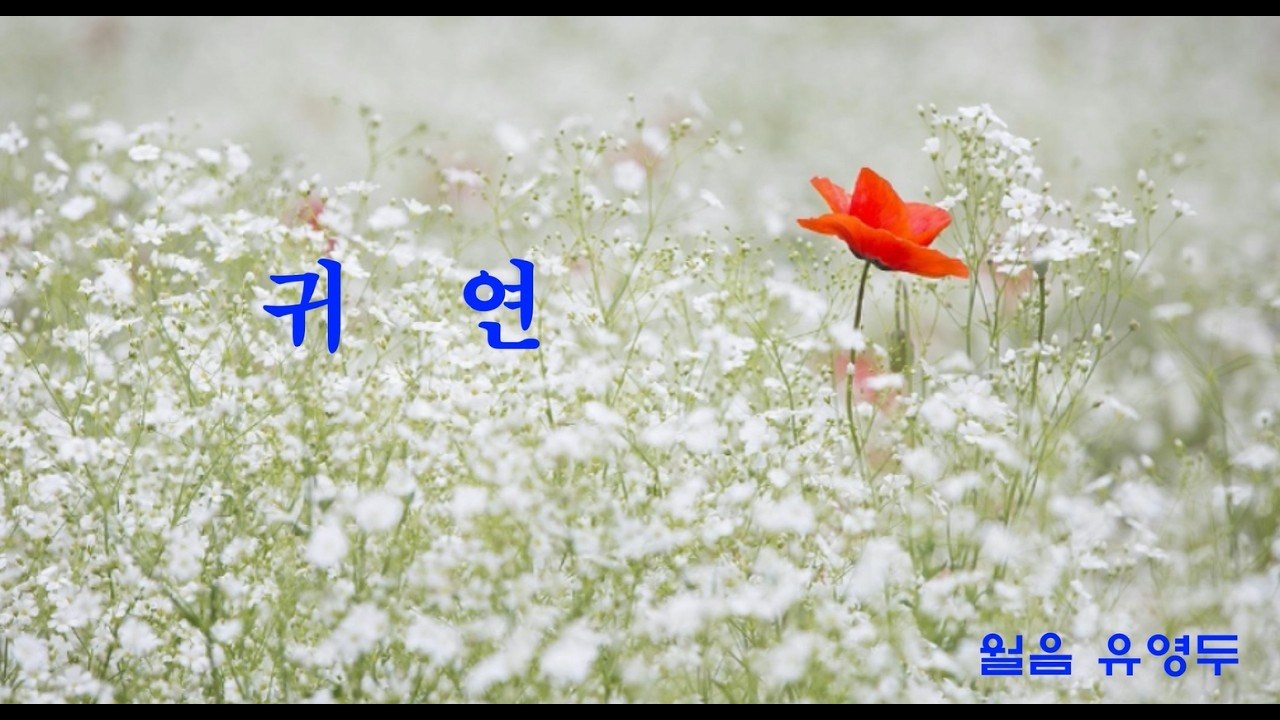 귀연 _ 양원식 _ 아름다운 가사  선정곡 _ 유영두 커버