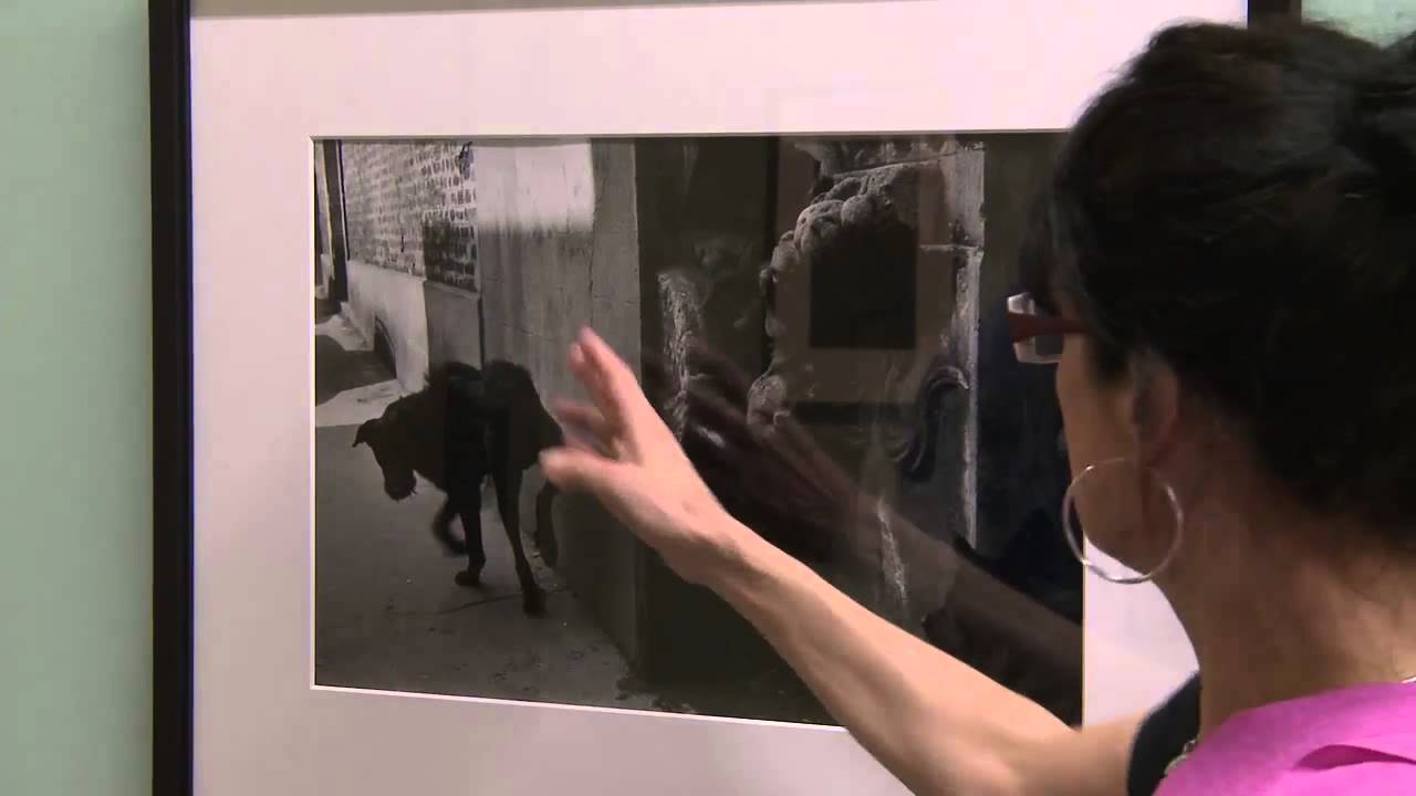 Visita Guiada Sergio Larrain