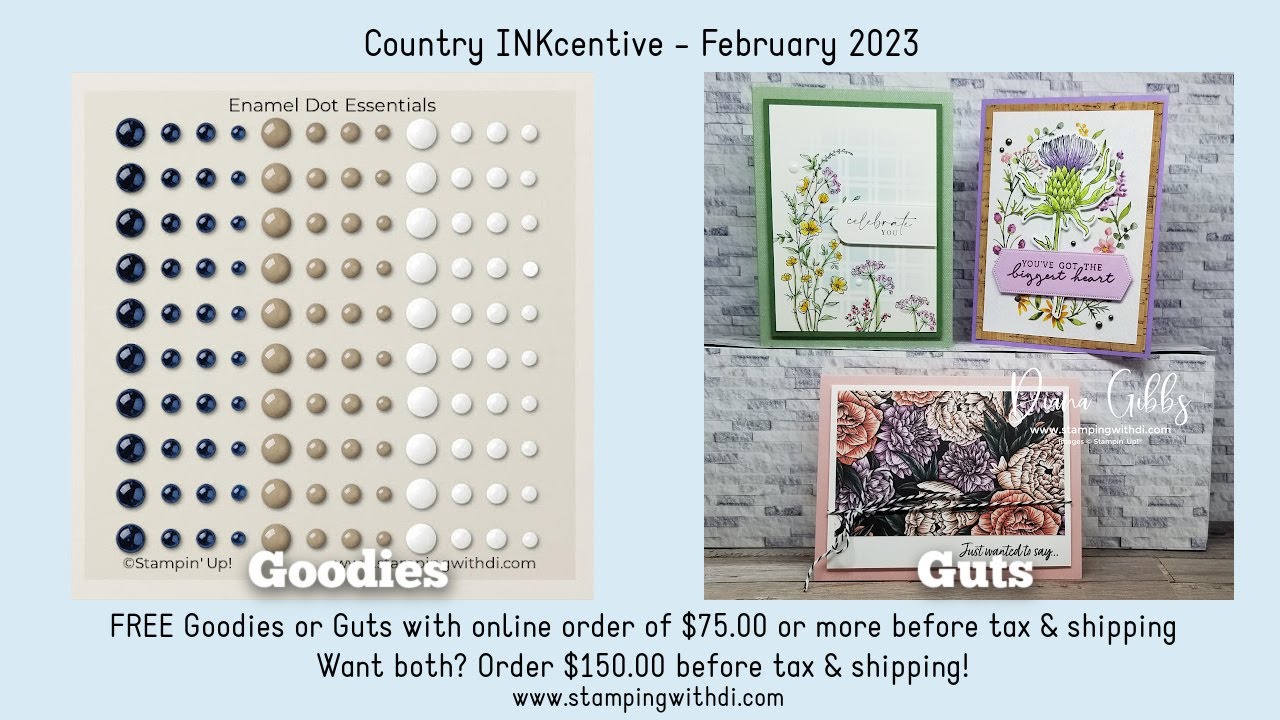 ❤Goodies & Guts for February 2023 - Teach Me Tuesdays Episode 165
