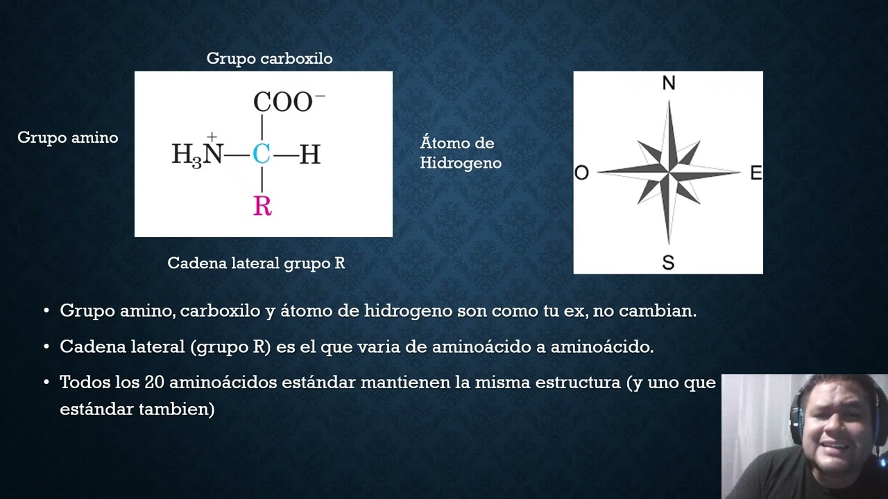 Entendiendo bioquímica pt 1. Estructura de las proteinas DrOdonTeacher