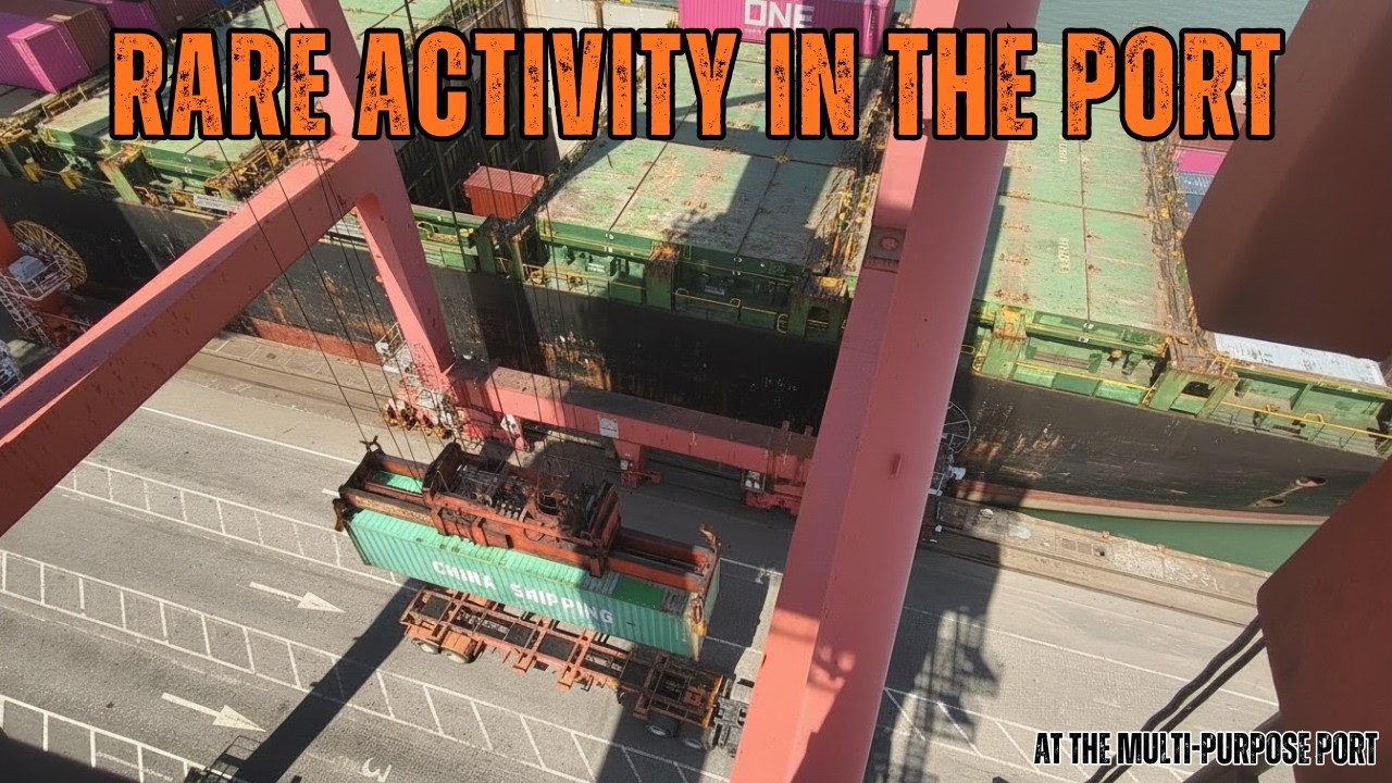 Multi Purpose Port Revealed | How Containers Get Loaded and Shipped