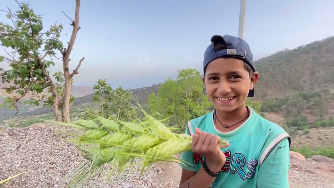 Panchari hills | Udhampur | Travel VLOG 013 | Roadtrip |