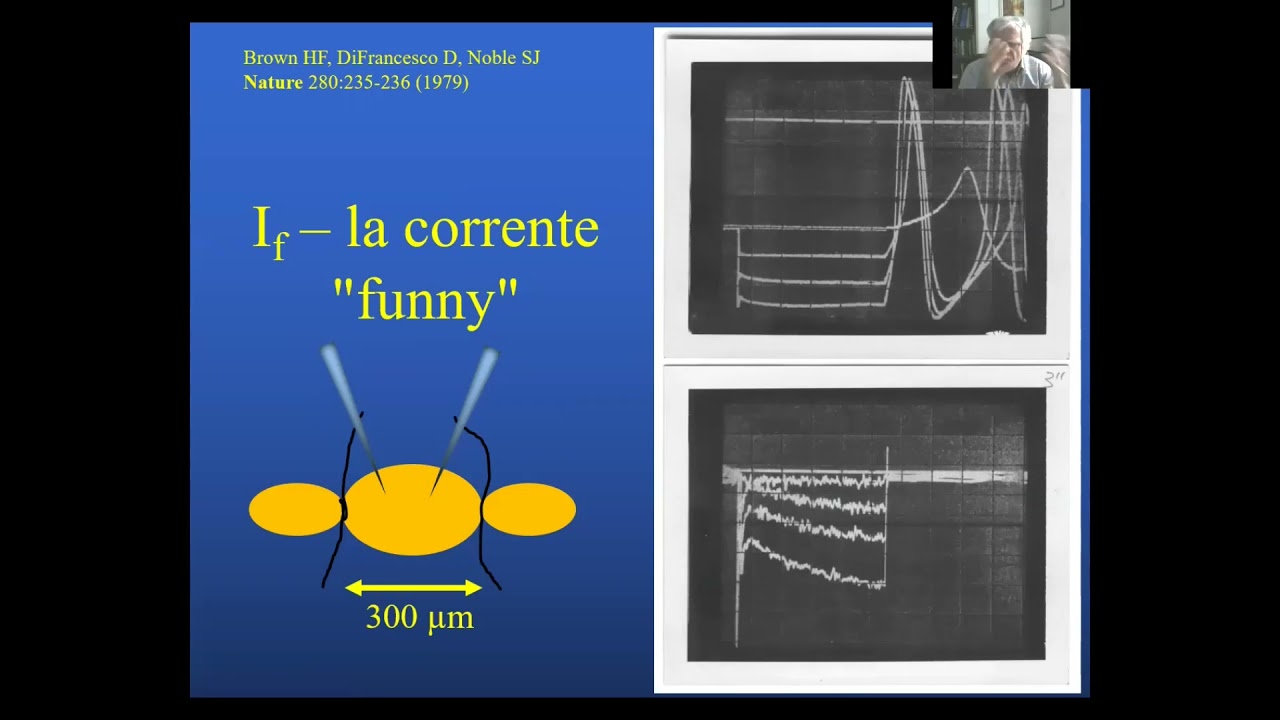 Lezioni di Fisiologia - Prof. Dario DiFrancesco: Generazione e controllo del ritmo cardiaco