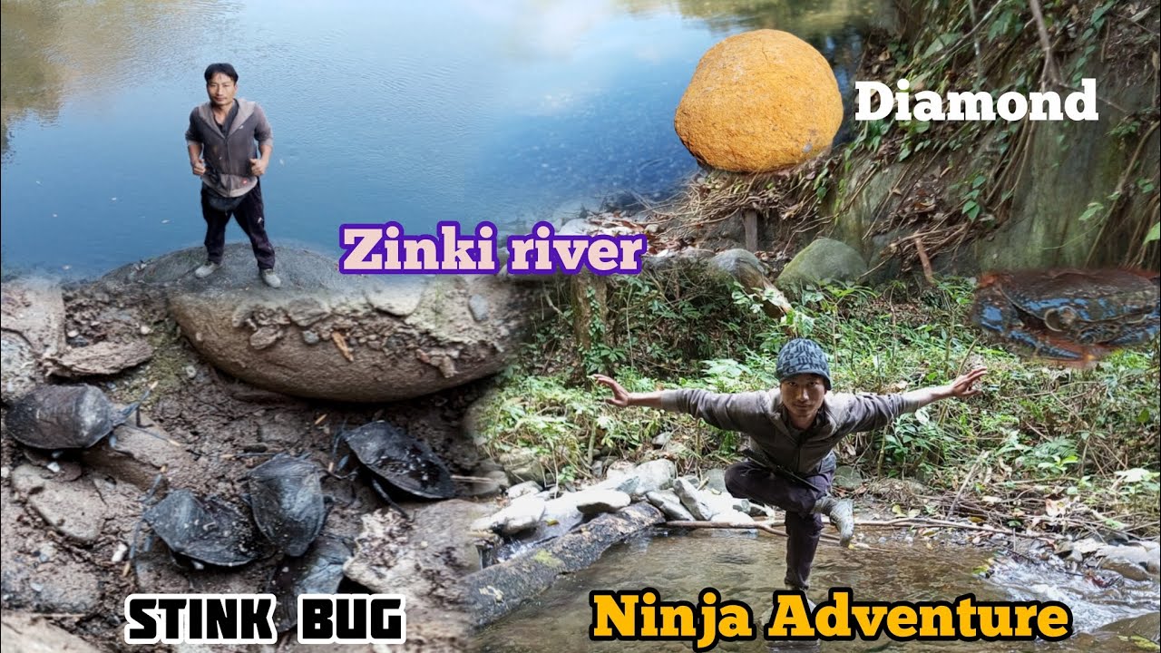 Catching stink bug at zinki river with my Ninja boy