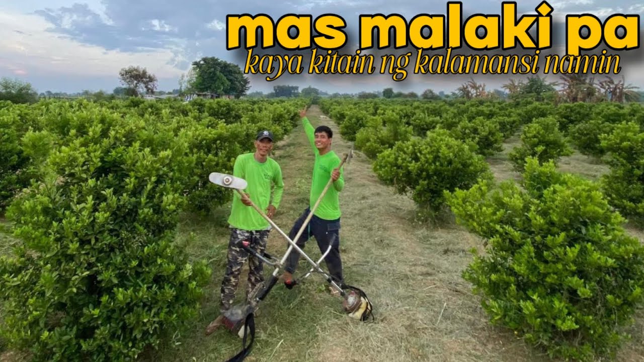 HALF MILLION OFFER NG BUYER, TINANGGIHAN NAMIN