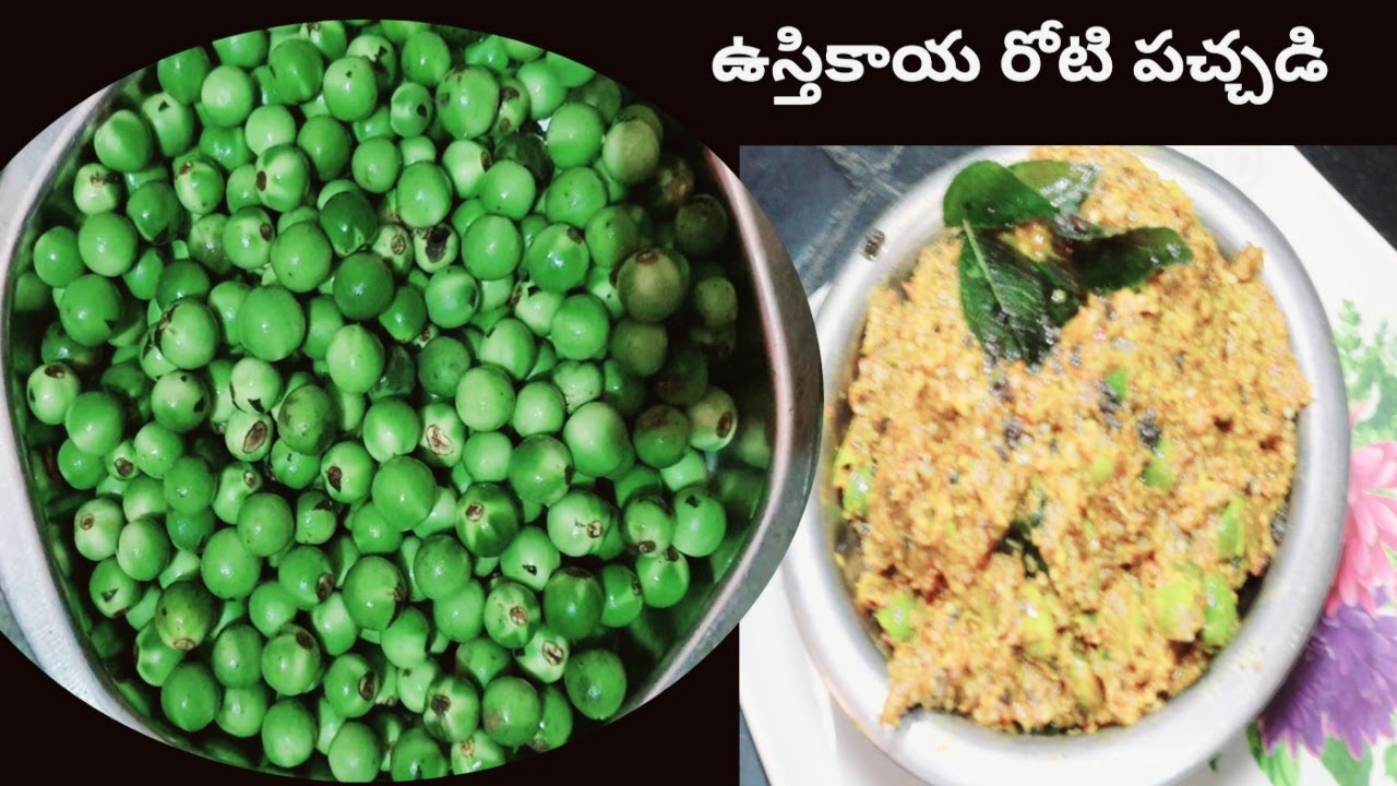 Make Turkey Berry Chutney - Healthy and Delicious Recipe ustikaya pachadi cbcharepalli vantalu
