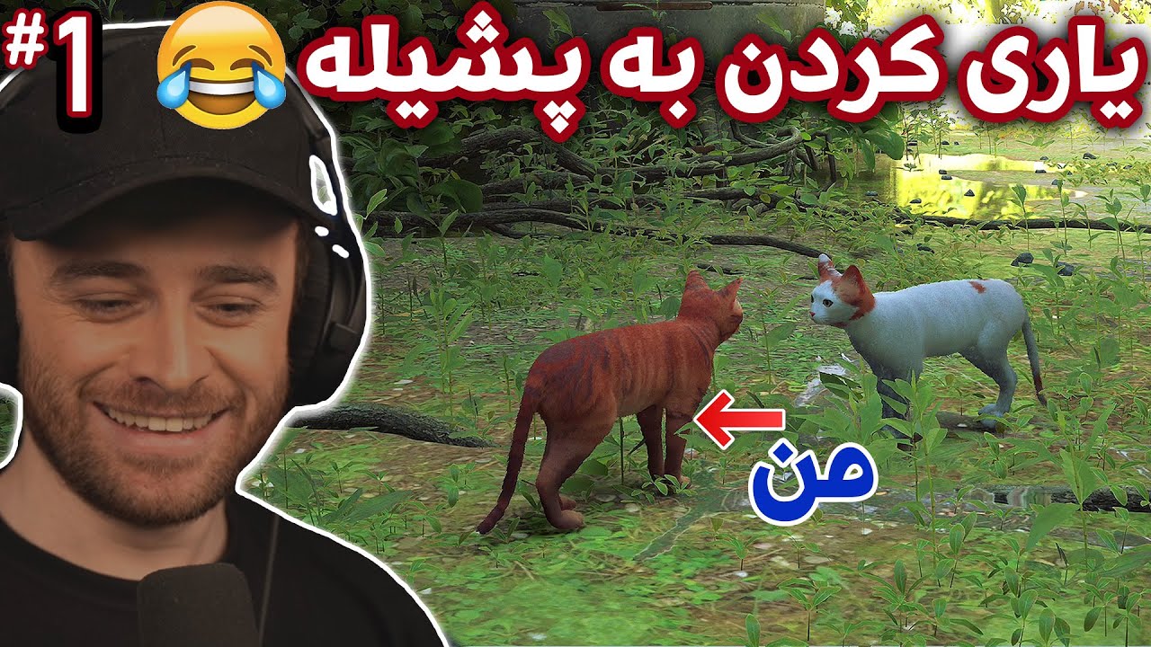 STRAY #1 - 😂یاری بە پشیلە ئەکەم هەر زۆر بەزم و خۆشە