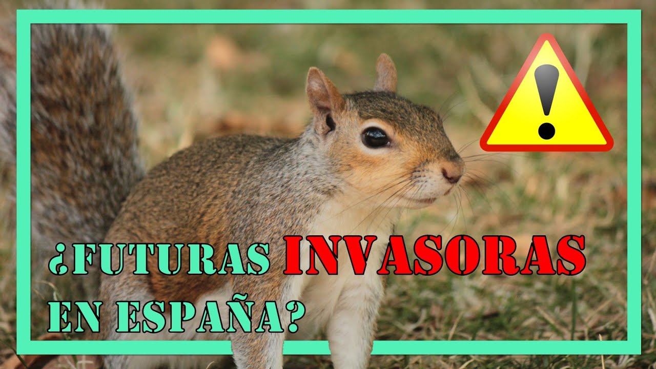¿Futuras especies invasoras en España?