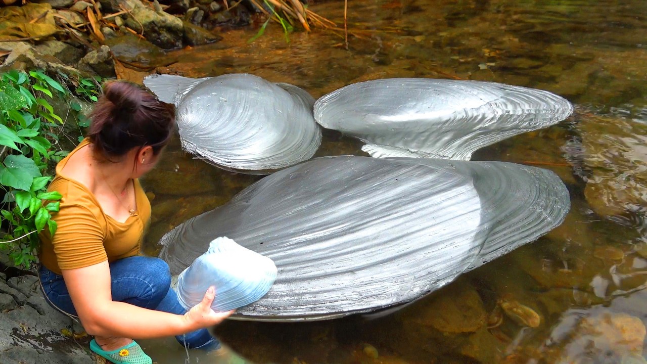 Mutated pearl clams gather in the water, as if guarding a huge treasure, which is truly rare