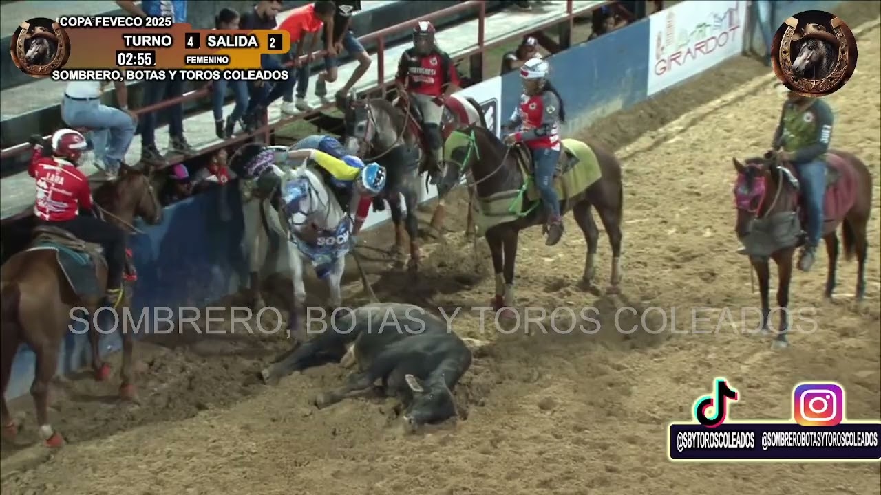 TURNO 4 SALIDA 2 CAT FEMENINO COPA FEVECO MARTES COLMENAREZ - FERNANDEZ - HAMM - FITT