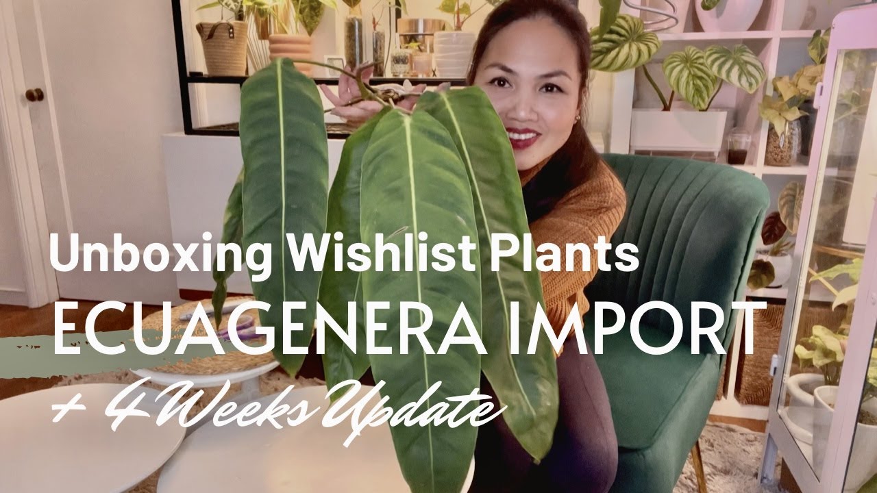 💚 Ecuagenera Winter Import + 4 Weeks UPDATE! + BONUS Content 💚
