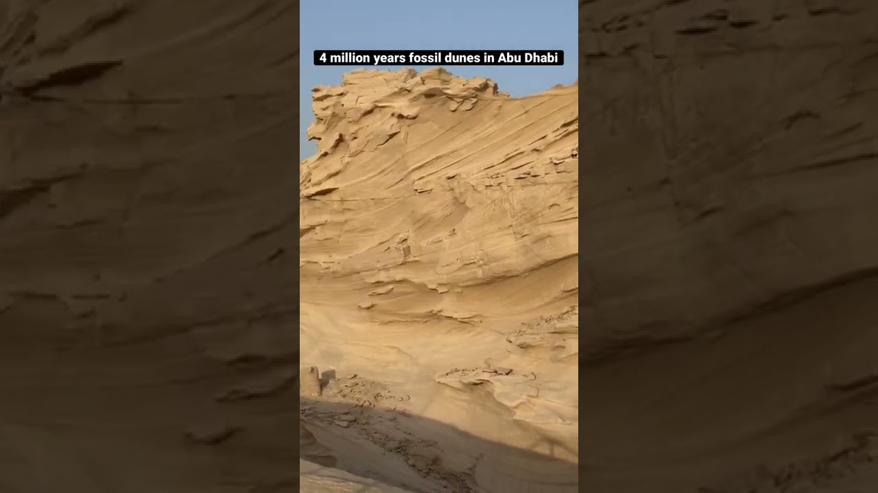 #AL WATHBA FOSSIL DUNES In Abu Dhabi #shorts #historical place #4 million years fossil dunes