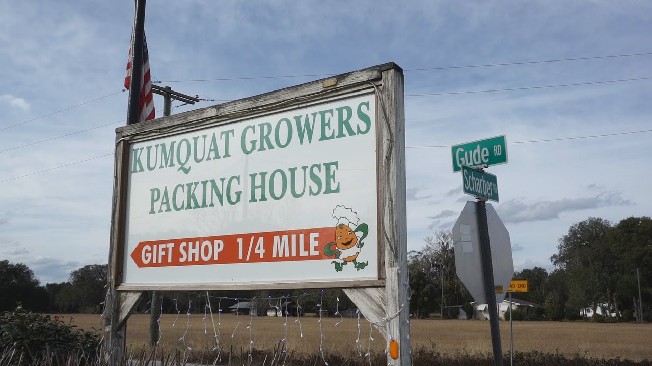 Sweet and Sour with a twist! Kumquat Growers St. Joe Florida