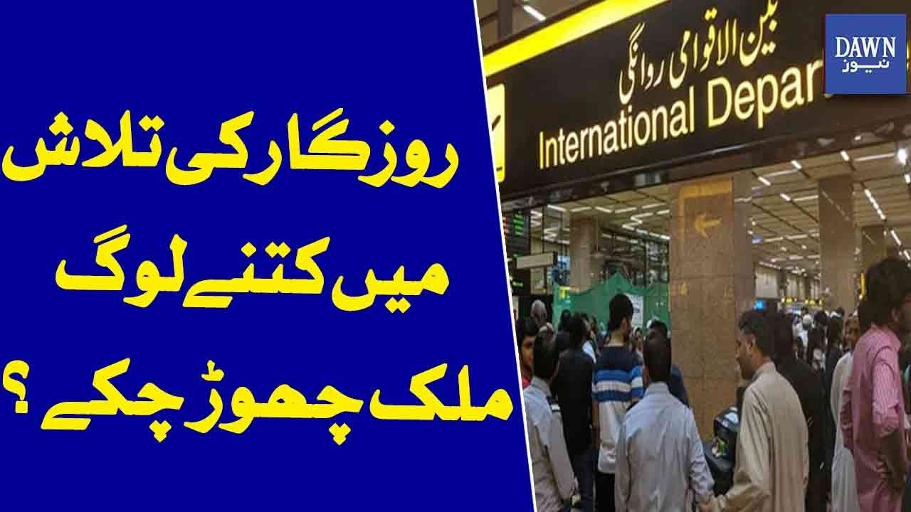 How Many Pakistanis Left The Country in 2025 for Search Of Jobs? | Dawn News