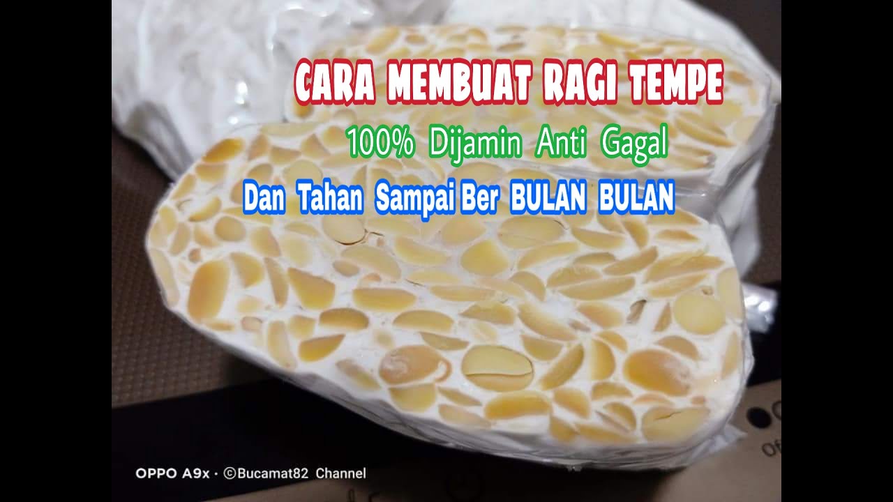 CARA  MEMBUAT  RAGI TEMPE   100 % ANTI  GAGAL DAN TAHAN BERBULAN BULAN
