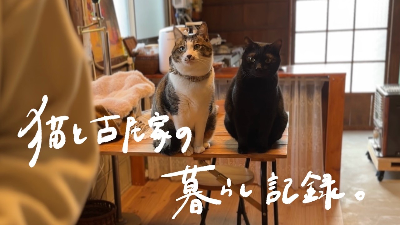 #16 猫と古民家の暮らし記録 -  A Peaceful Day in Old Country House【古民家・お弁当・ヤギミルク・猫のおやつ・せいろ料理・アップルパイ】#ねこのいる生活