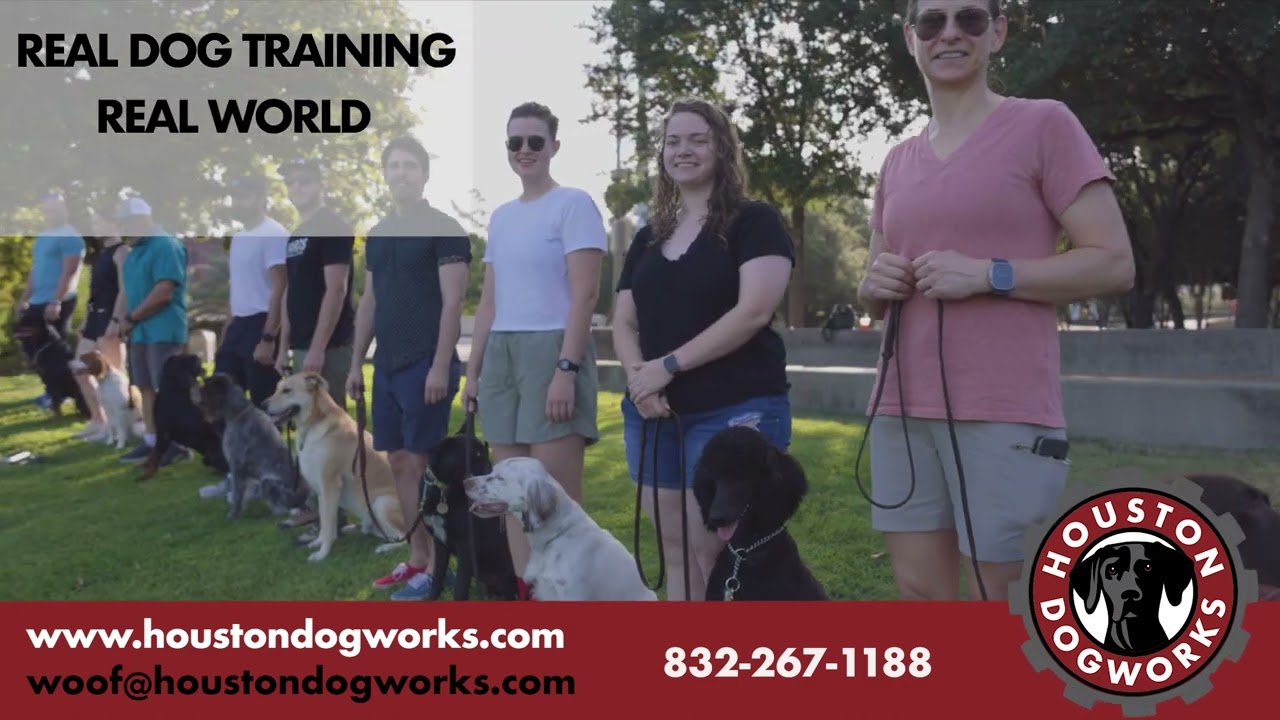 Houston DogWorks Dog Training - Client Highlights