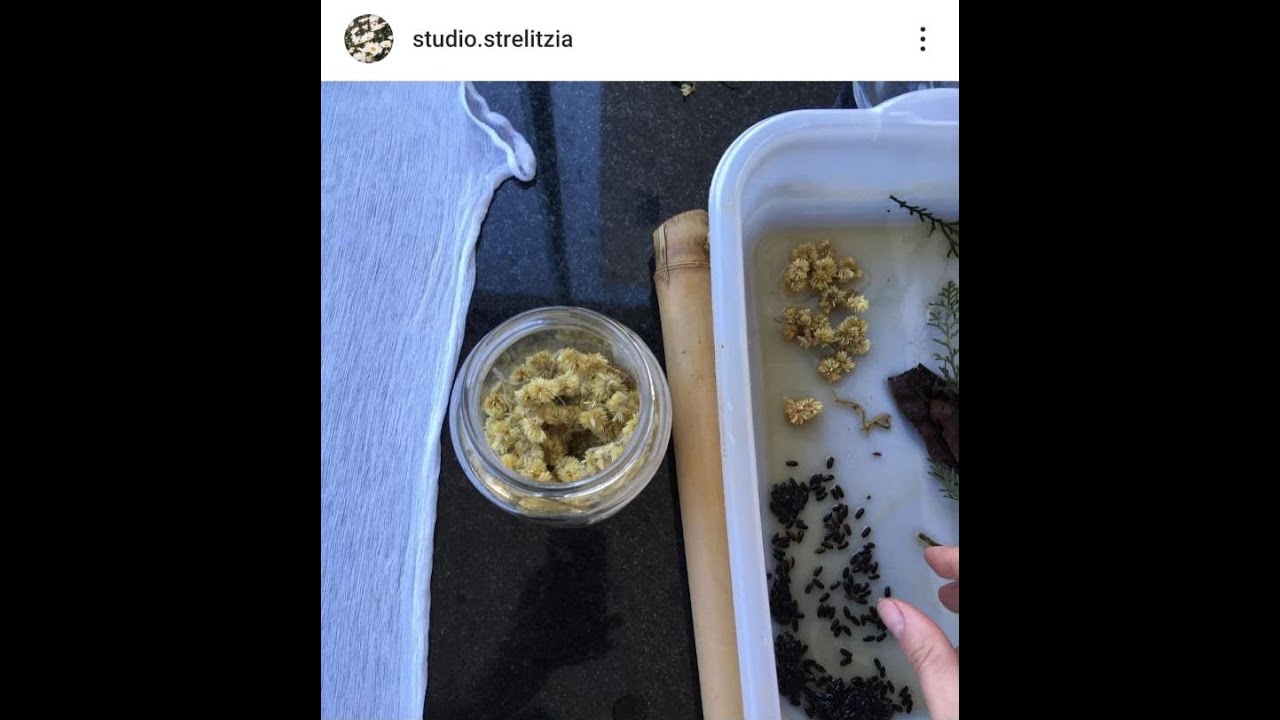 Impressão botânica
