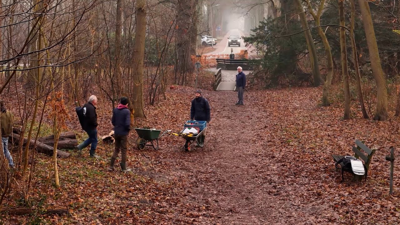 Meer Bomen Nu - Oogstdag - Reportage | Omroep ZVL