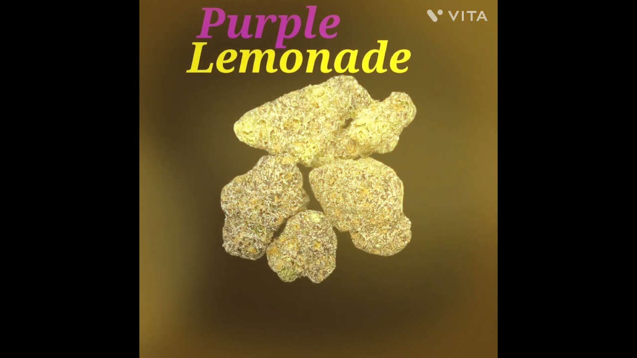 This New Drop is Bonkerss🤯🤯 *i do not own rights to this music* #viralvideo #thca #legalcannabis