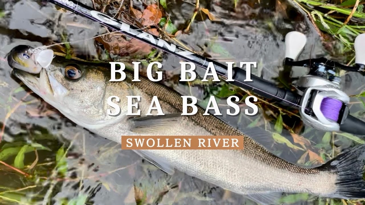 blueblueコノ野郎で増水河川を攻める！【ビッグベイト】