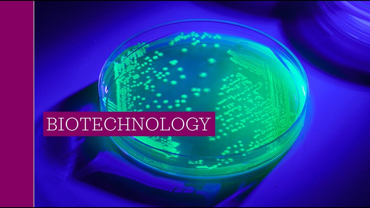 AP Biology 6v Biotechnology Lecture