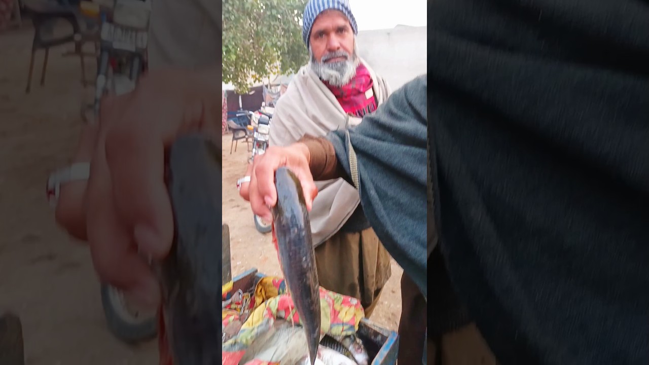 Fish Mandi update,Machli mandi price update today