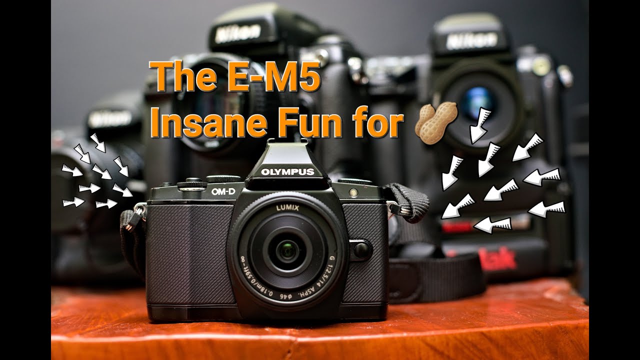 Olympus E-M5 Mki Crazy Good Value in 2024. (Also Just Crazy Good, and Tons of Fun)