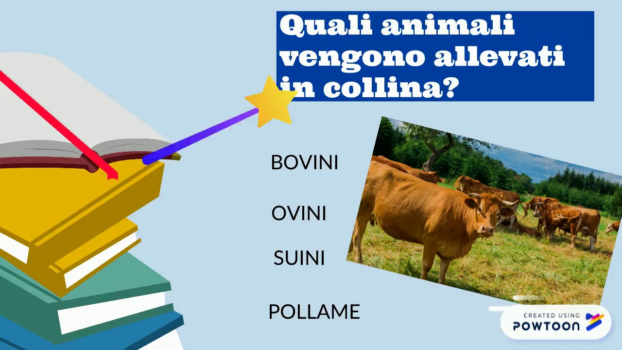 L'UOMO E LA COLLINA