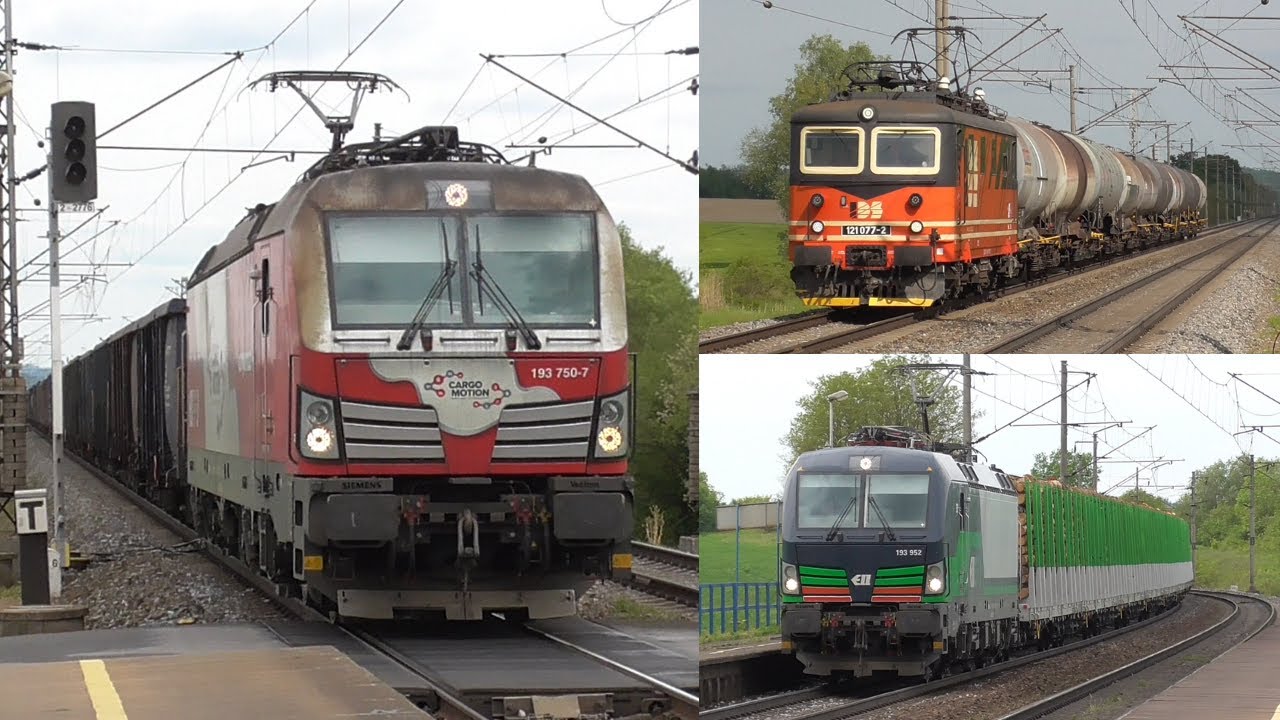 Vlaky Dobříkov u Chocně/Pociągi Dobříkov u Chocně