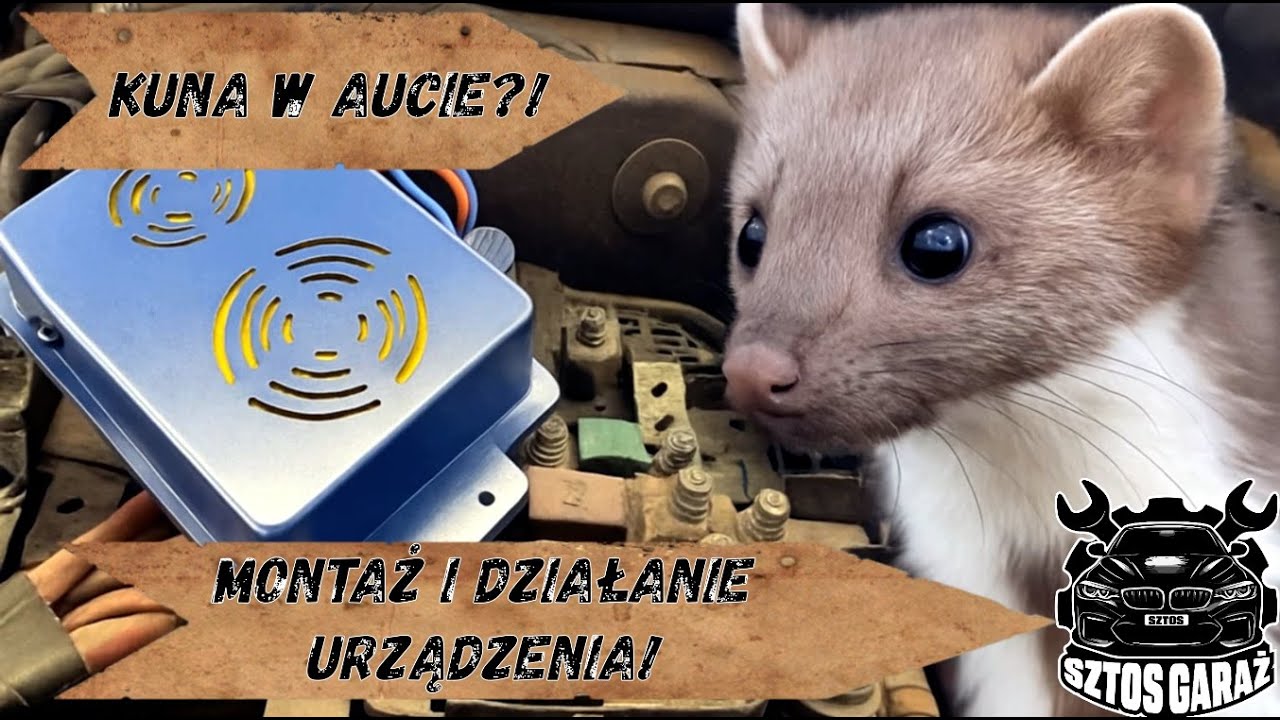 Kuna Grasuje?! Montaż Oraz Działanie Urządzenia Ultradźwiękowego!!