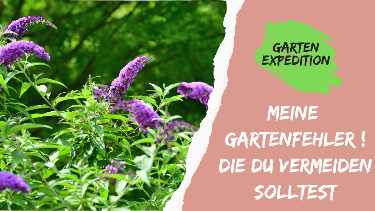 Diese 4 Garten-Fehler solltest du vermeiden – Meine persönlichen Erfahrungen! - Gartenexpedition