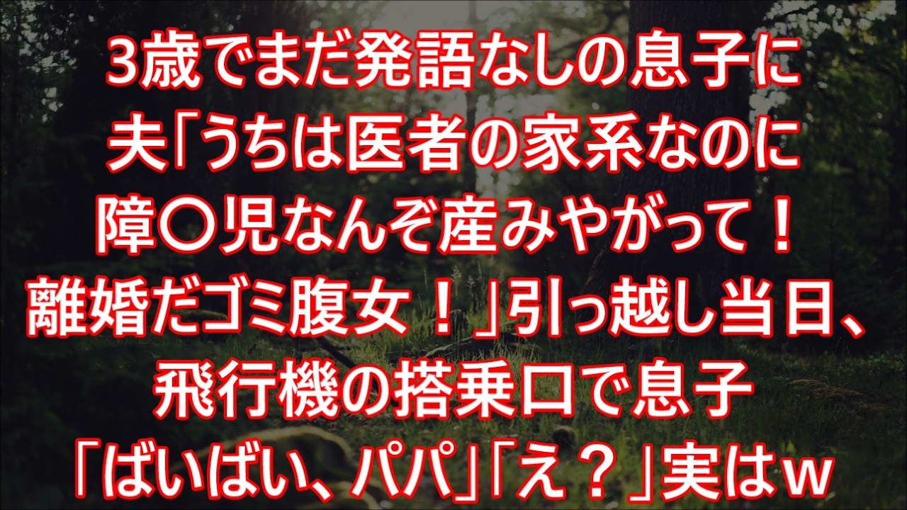 3歳でまだ発語なしの息子に夫「うちは医者の家系なのに障〇児なんぞ産みやがって！離婚だゴミ腹女！」引っ越し当日、飛行機の搭乗口で息子「ばいばい、パパ」「え？」実はｗ