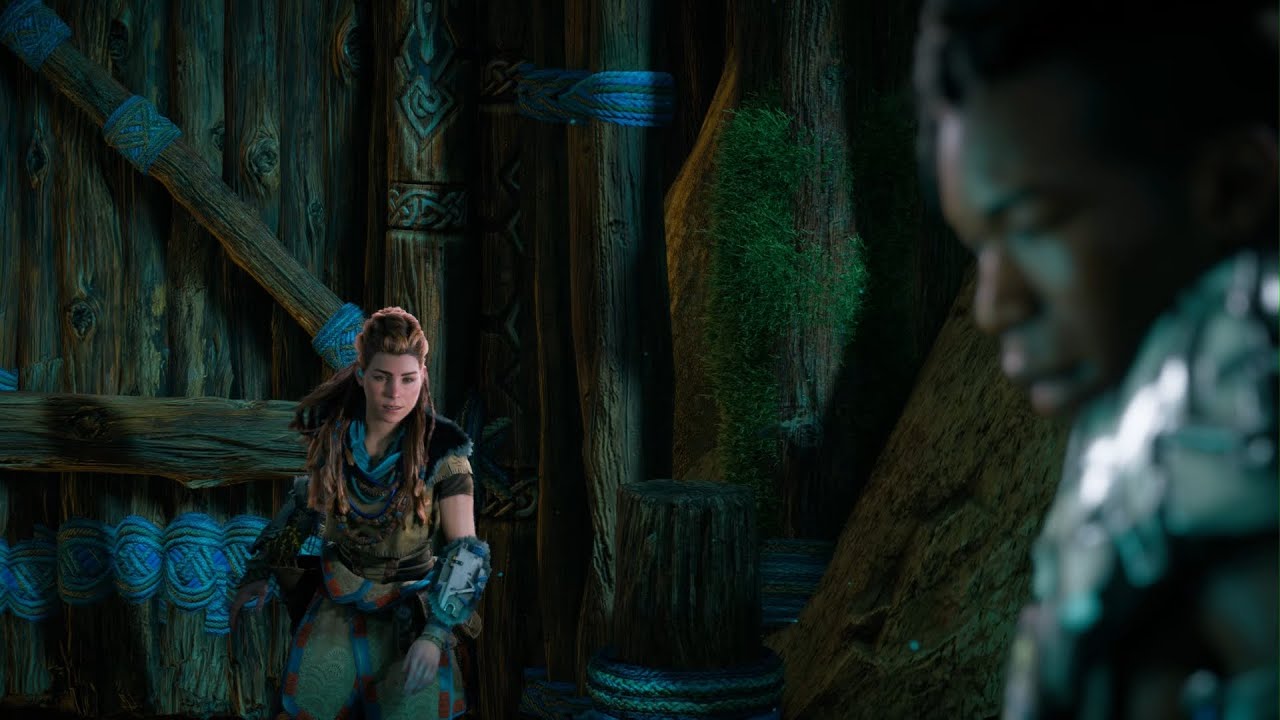 Horizon Zero Dawn™ Remastered 5