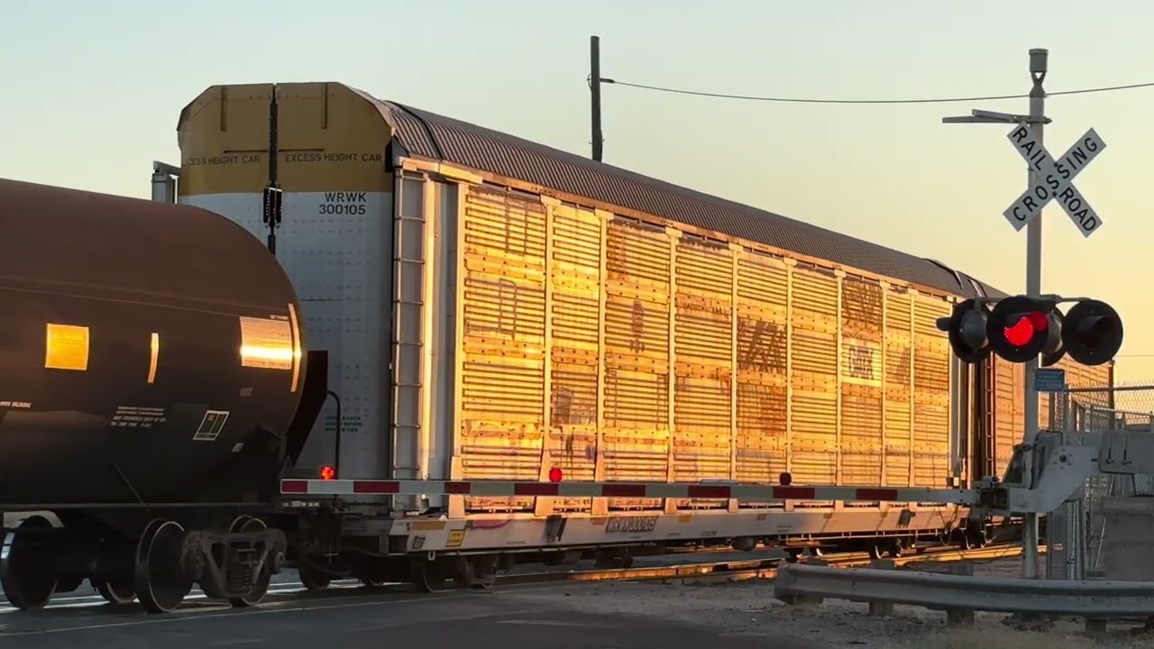 Railfanning In Laredo, TX 11/15/25