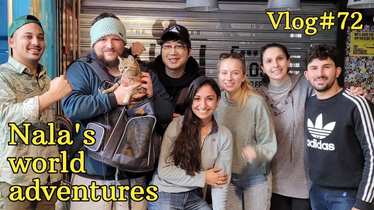 Cat Nala's NEW YEAR'S EVE in Venice 😻❤️  VLOG #72