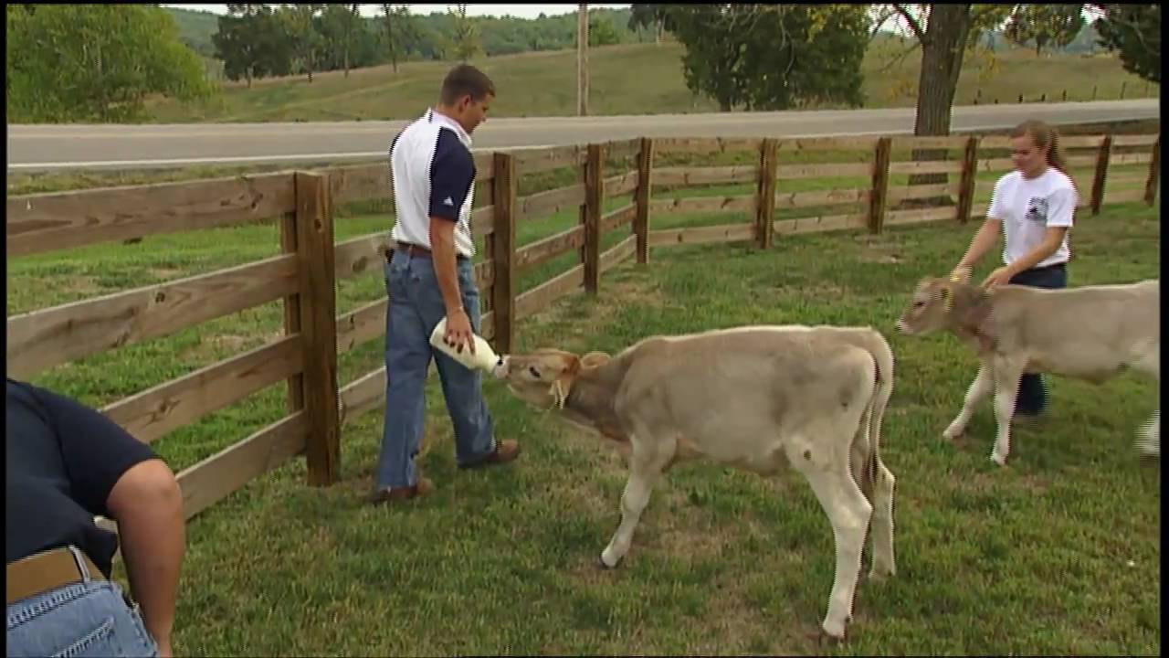 Молочная ферма семьи Хэтчер | Перекресток Теннесси | Эпизод 2131.1