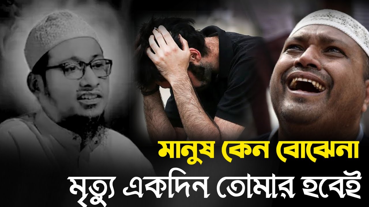 মাওলানা আনিসুর রহমান আশরাফী Maulana Anisur Rahman Ashrafi